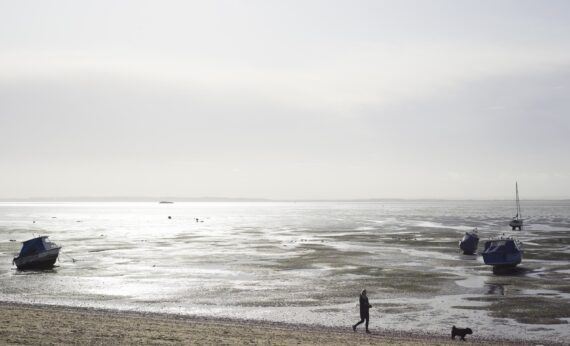 Estuary dog walking