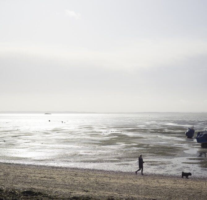 Estuary dog walking