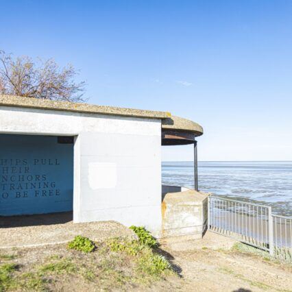 Final murals from Estuary 2021 (credit: Joe and Charlotte)